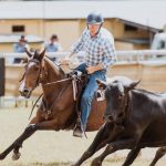 Quality Grafton heifers lift in price