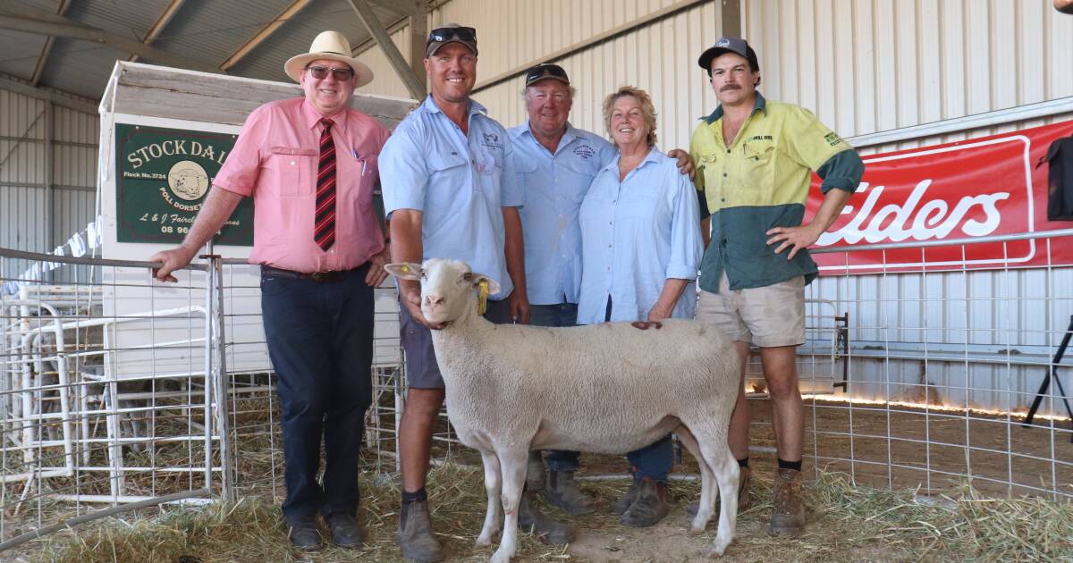 Stockdale stud dispersal tops record $4500