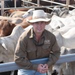 Weaner steers sell for 280c at Mareeba