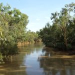 Australia’s March and first quarter beef exports soar