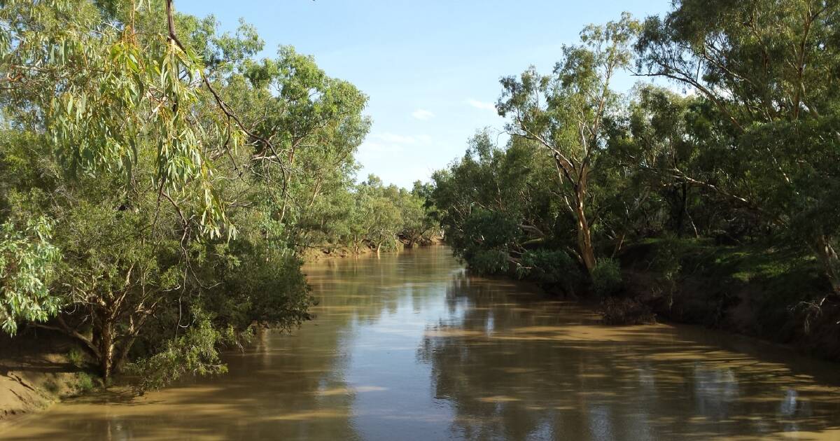 Gulf Water Plan review: HIPCo tender terminated | North Queensland Register