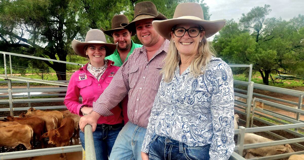 Prices lift up to 40c at Blackall weaner sale