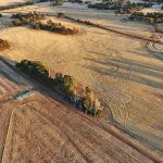 On the sorghum harvest trail from Victoria to Toobeah