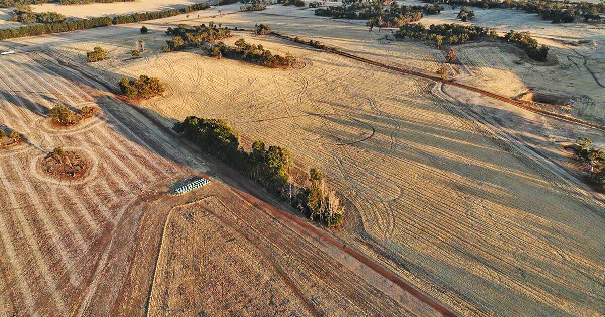 Early interest from buyers in sale of large WA Wheatbelt farm. | Farm Weekly