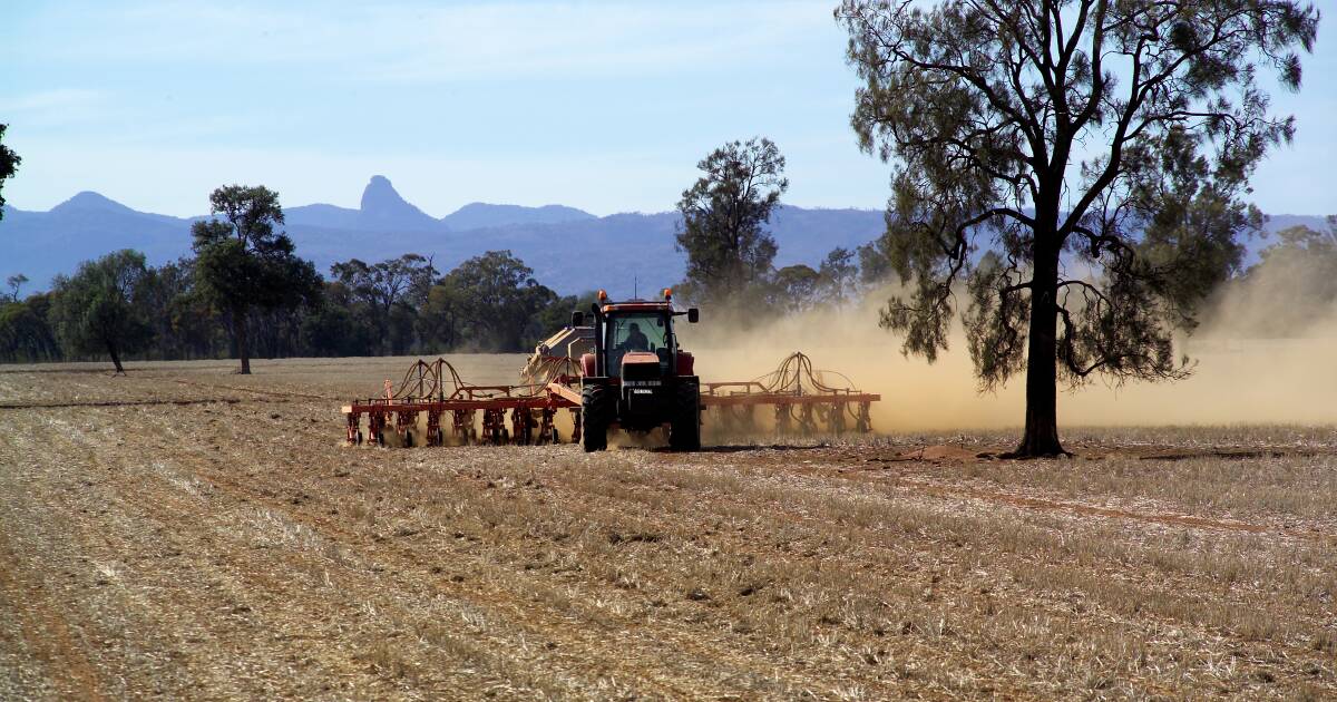 March rain offers winter crop optimism