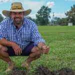 Pasture dieback spreading to new parts of Queensland