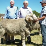 Impact of quad bike regulations in Queensland | North Queensland Register