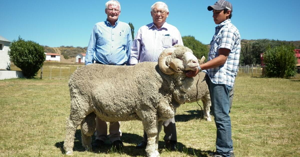 Farewell to stalwart of Merino industry