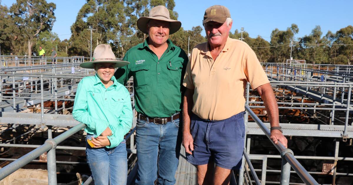 The yards were full at Boyanup last week and top prices hit $1394. | Farm Weekly