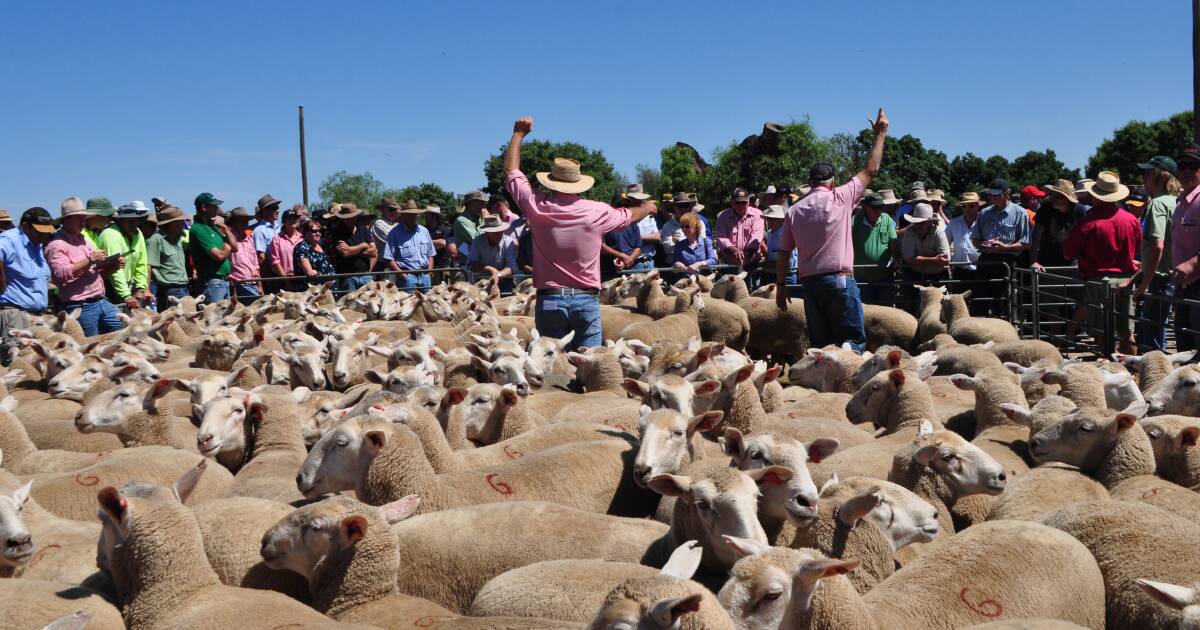 Corowa saleyards upgrades open for Easter