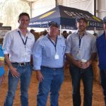 QFF CEO says premier must show leadership and protect the GAB | Queensland Country Life