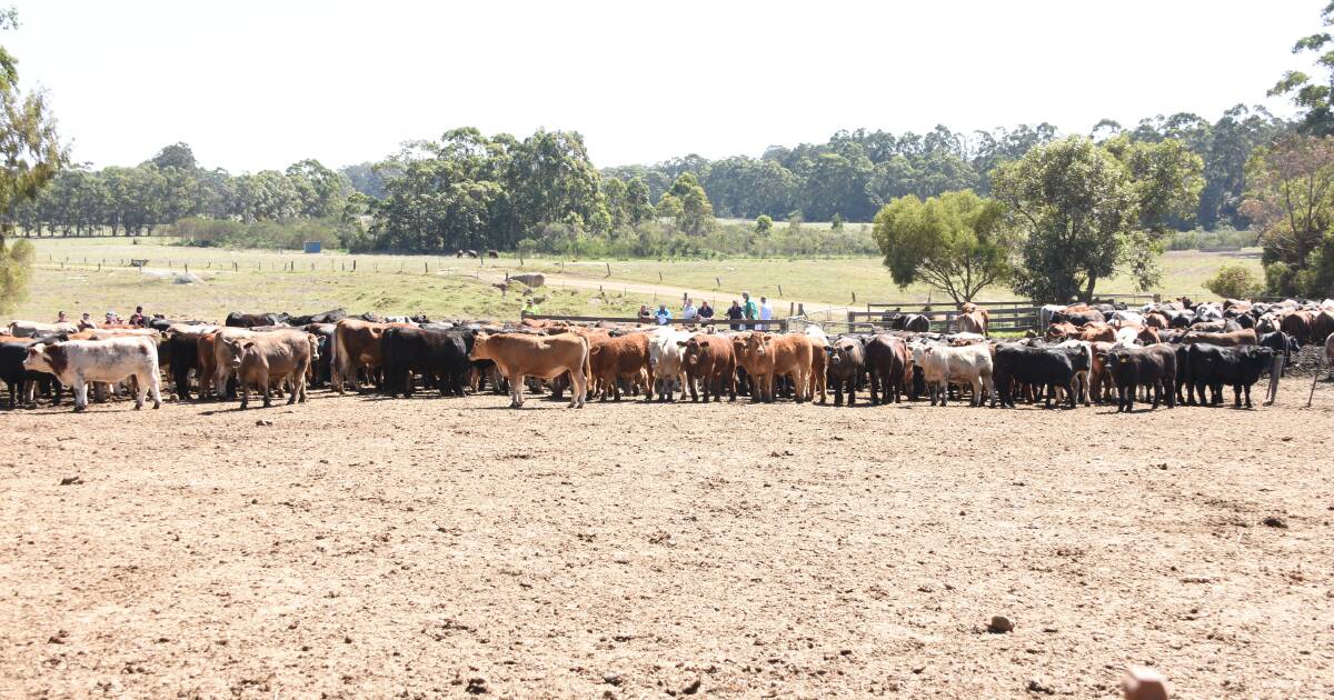 Ideal conditions for annual Gate to Plate Challenge