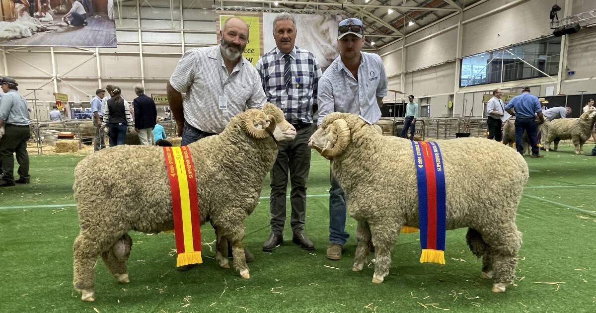 Shalimar Park takes the broadribbon in superfine Merino rams | The Land