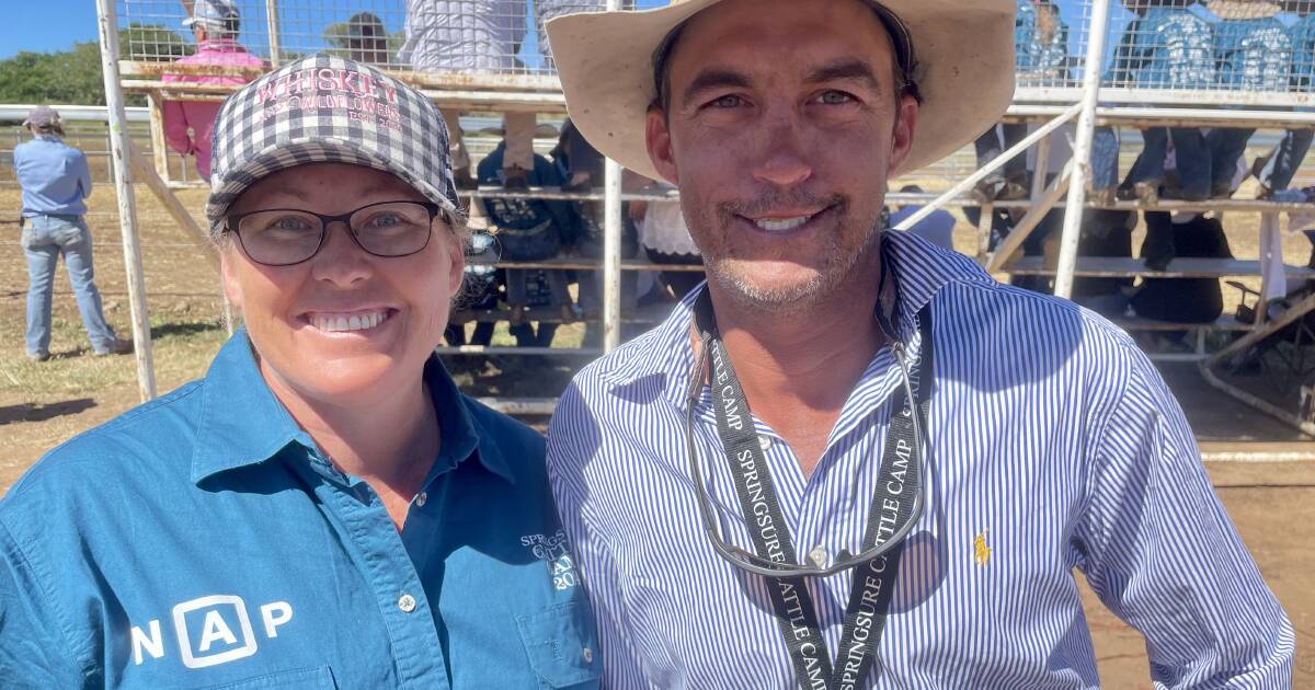 Bauhinia Carcass Classic open to more schools and more cattle breeds | Queensland Country Life