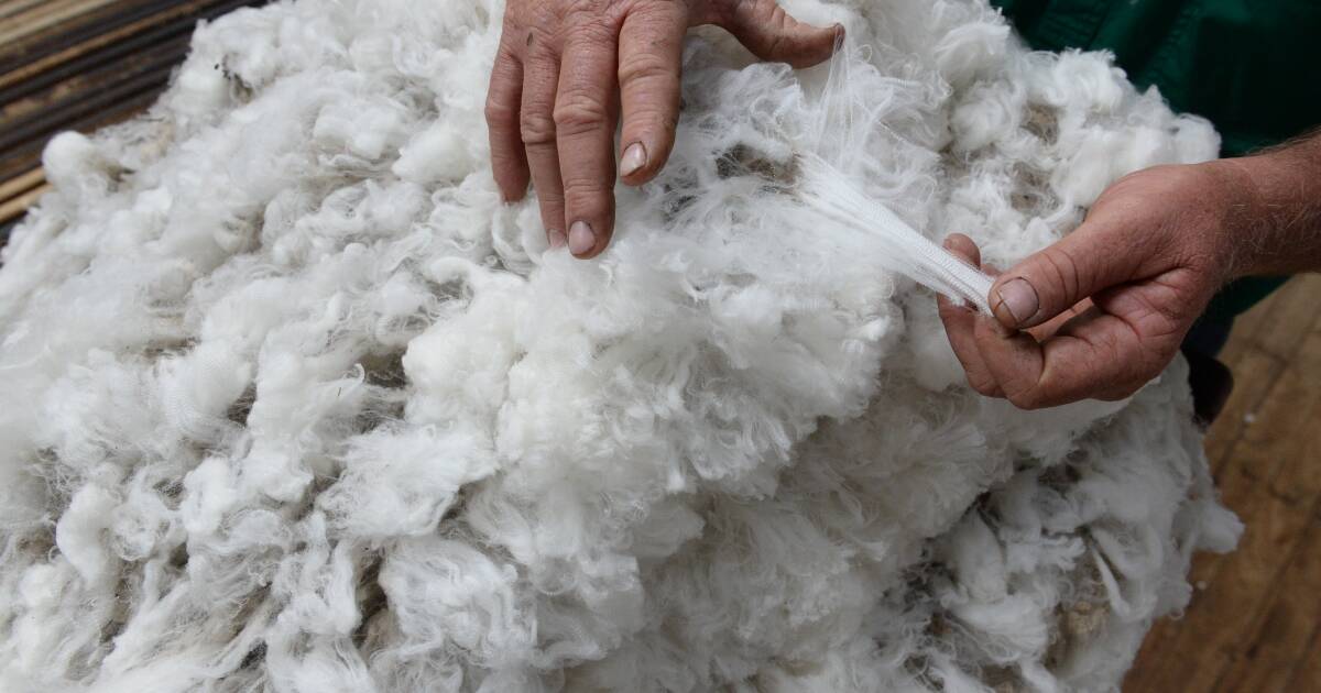 2024 IWTO Congress in Adelaide – Global Wool Industry Event | Farm Weekly