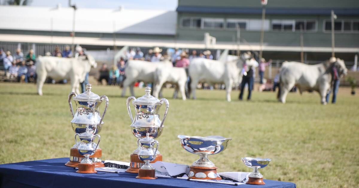 Beef Australia judges revealed | Queensland Country Life