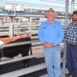 Winton’s Way out West Festival: bulls, bands, and Braydon Wellby’s win | Queensland Country Life