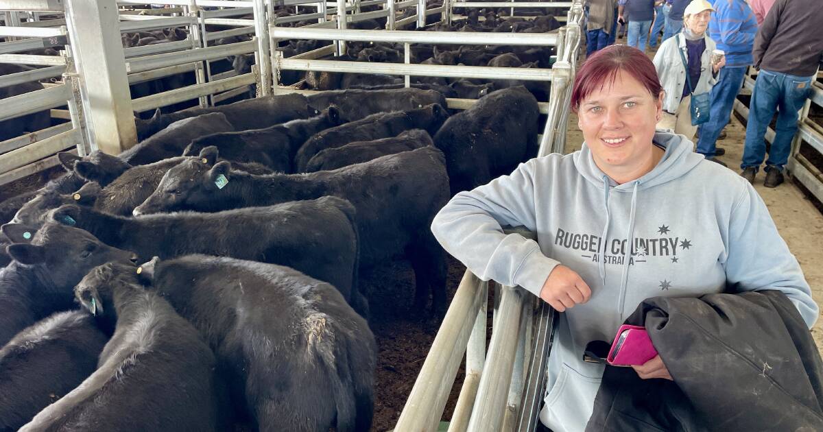 Buyers chase heavy, weaned steers at Moss Vale