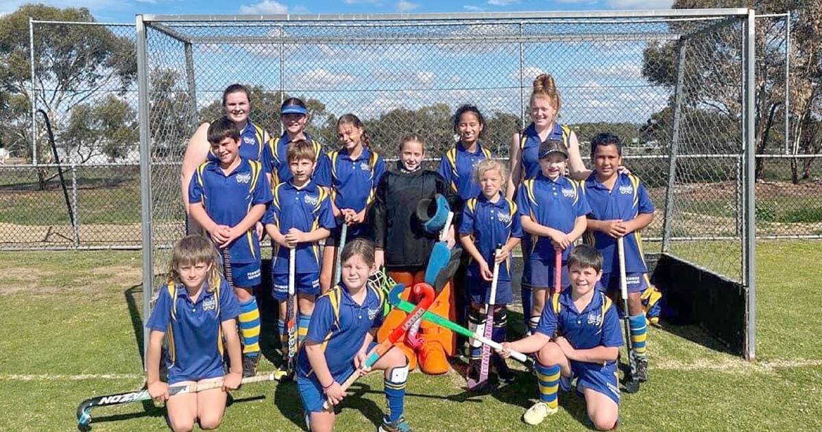 Hockey club receives grass roots funding