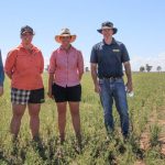 Murray-Darling stakeholders to scrutinise basin plan