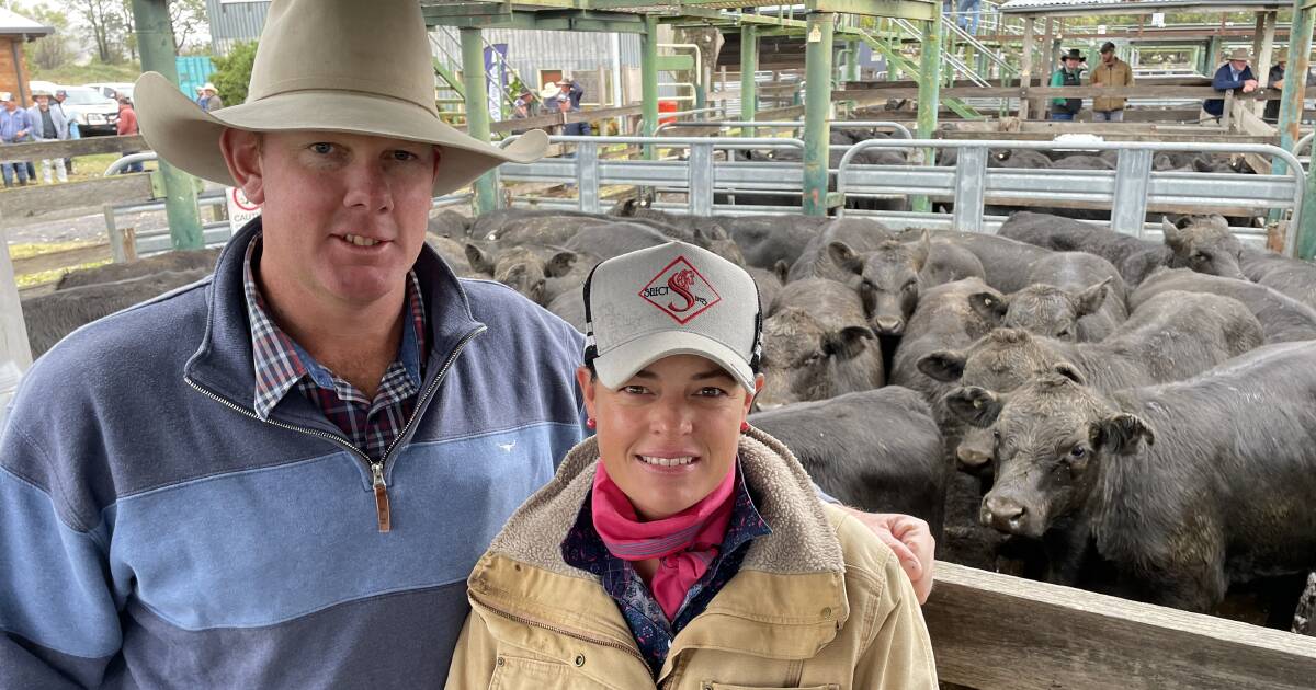 Premier Angus at Glen Innes lifts the market