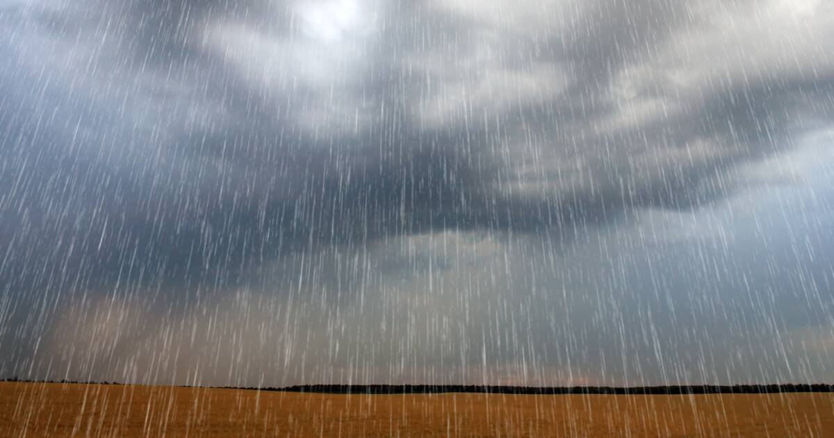 Easter rain sets scene for optimistic winter sowing