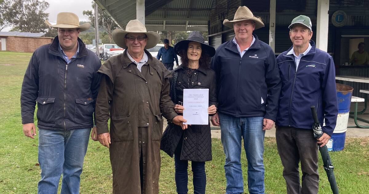 Rain kicks Stanthorpe Charolais sale