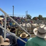 St George community mourns Allan Neale | Queensland Country Life