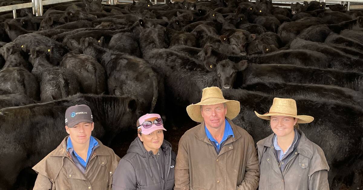 Hedging bets on more rain at annual weaner sales