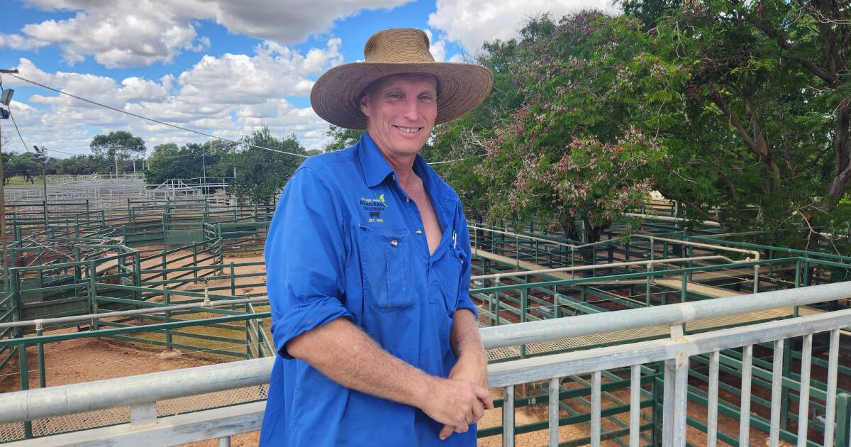 Blackall-Tambo Regional Council’s new saleyards manager | Queensland Country Life