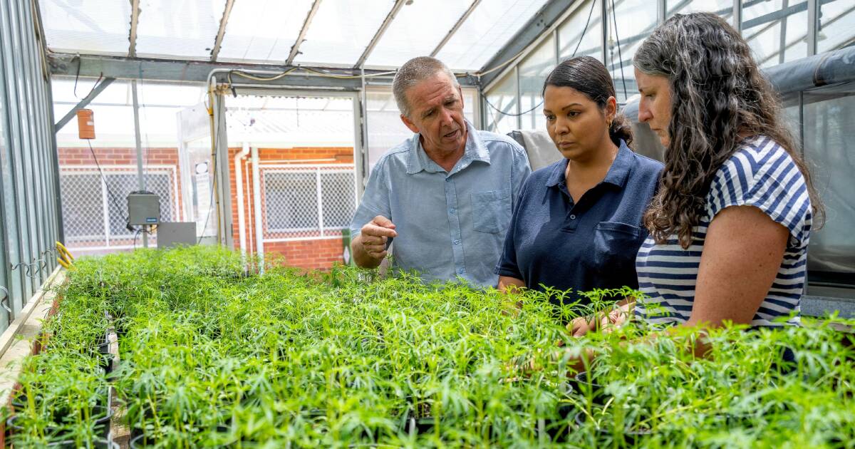 WA’s $24K Postgraduate Research Scholarships Now Available | Farm Weekly