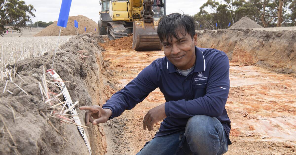 DPIRD scientist heading overseas to meet leading crop and soil researchers. | Farm Weekly