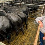 Photos: Faces from the NQ Field Days