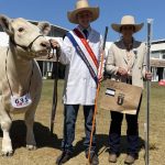 Weaner steers sell for 280c at Mareeba