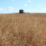 CSBP Fertilisers Completes $11 Million Upgrade in Kwinana | Farm Weekly