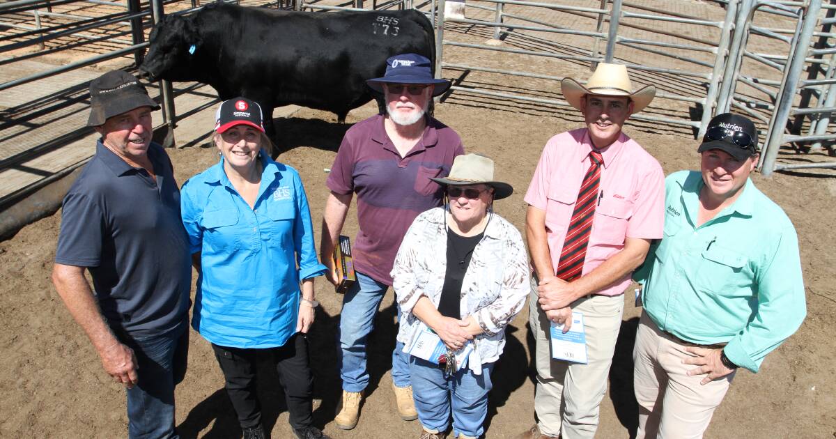 Bullock Hills Simmental Sale tops $9000 at Boyanup sale. | Farm Weekly