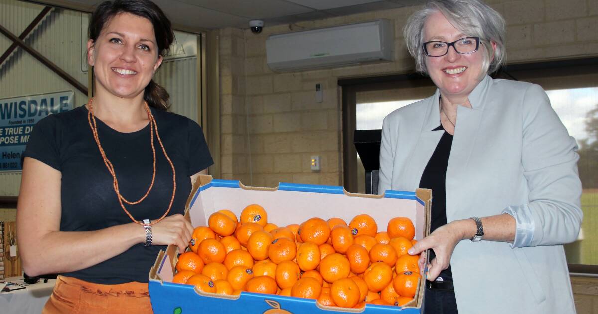 WA's remarkable citrus success story offered up for sale