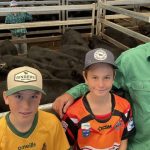 Charolais steers win top prize at Coolabunia