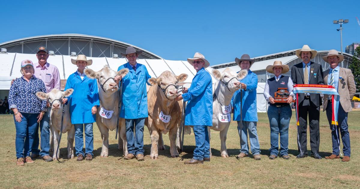 Venturon Livestock Charolais wins at Sydney Royal Easter Show,. | Farm Weekly