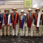 Grand dam sashed senior Brown Swiss champion at Sydney Royal Dairy Cattle Show