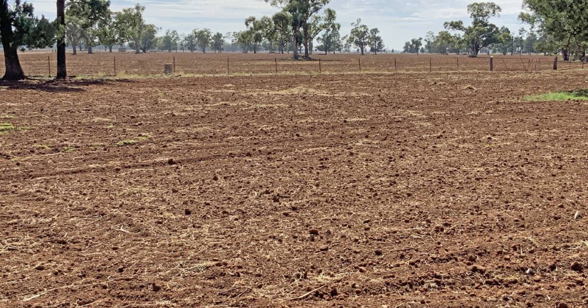 Narromine's Winchester listed for $1.7 million