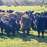 Food processing and farm inputs must be part of Labor's 'Made in Australia' plans