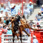 Success stories: Queenslanders shine in US rodeo scene | Queensland Country Life