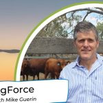 David Hill ready for fourth time as Beef carcase comp boss