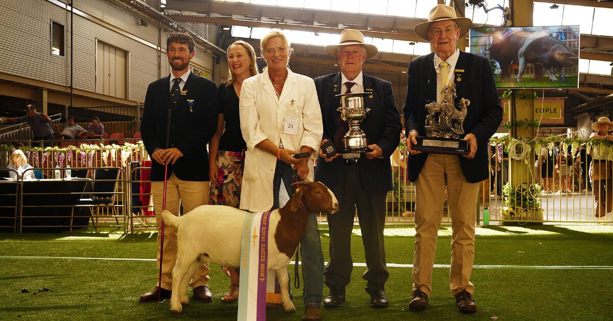 History made by Micathel in Sydney Royal Boer Goat section