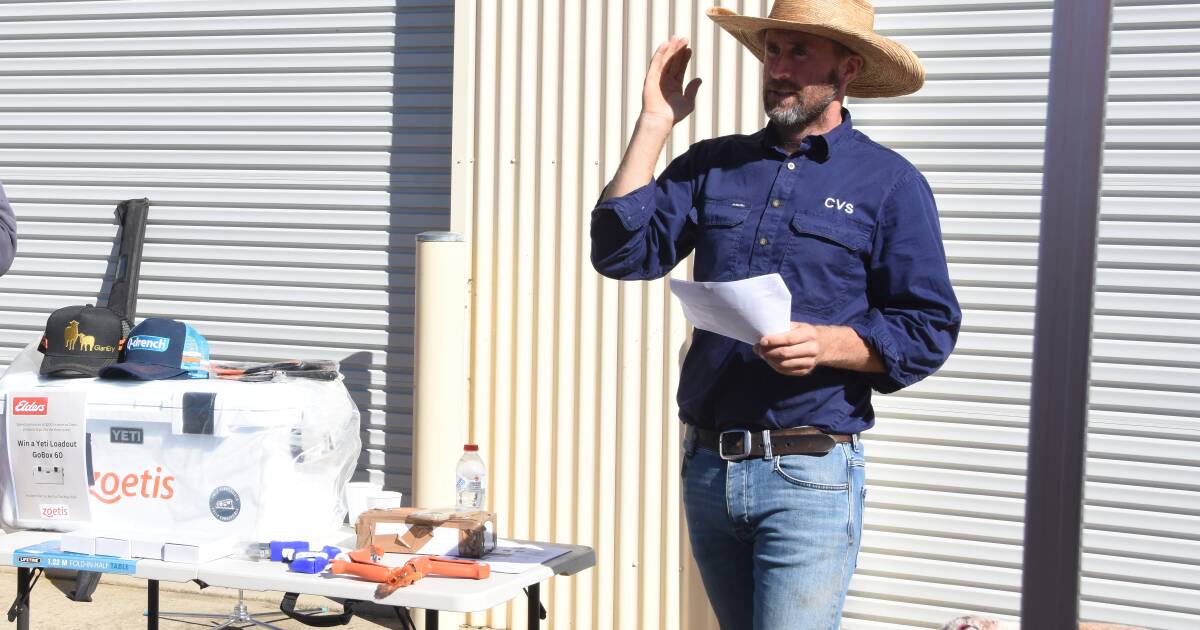 Getting on top of lamb mortality rates this lambing season