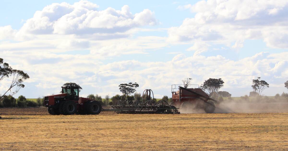 Lack of rain points to dry seeding start