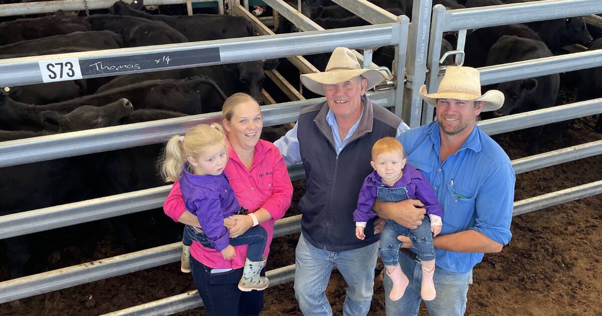 Inverell weaner cattle prices firm to better on previous month's sale