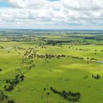 Managing Farm Succession: Tips from Wagga Wagga experts | The Land