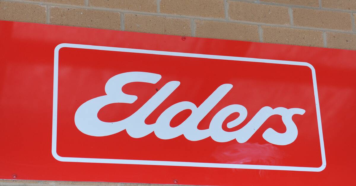 Elders slashes earnings forecast 30pc after trading slump. | The Land